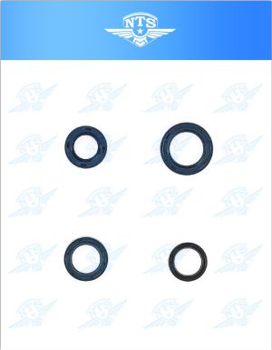 Packboxsats PIAGGIO & BAGHEE.