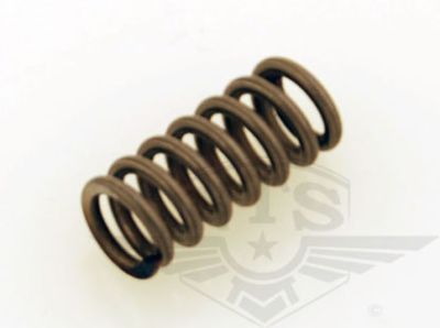 Kopplingsfjäder Sachs, säljs styckvis.