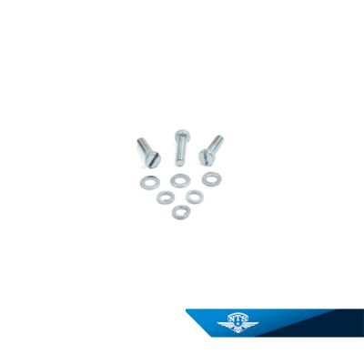 Skruvsats till tändplatta. Passar många olika mopeder, läs all information.