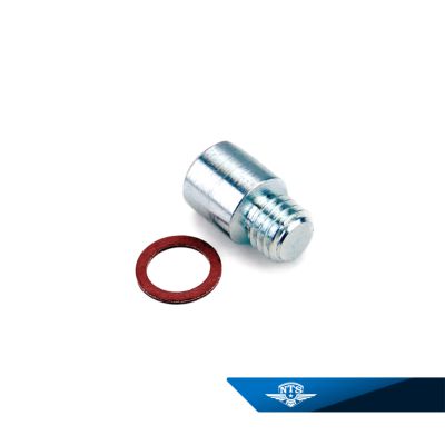 Plugg till dekompressionsventil, pys, Sachs topplock. Med packning.