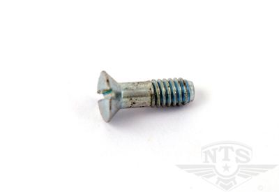 Skruv till trottellock, Baghee Kinetic.