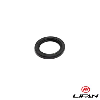 Packbox Lifan 4-takt, med liggande cylinder. 30/42/4,5mm.