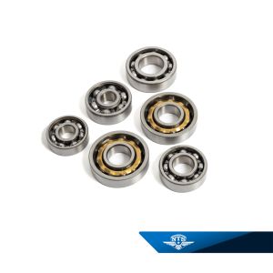 Kullagersats motor, Kreidler Flory.