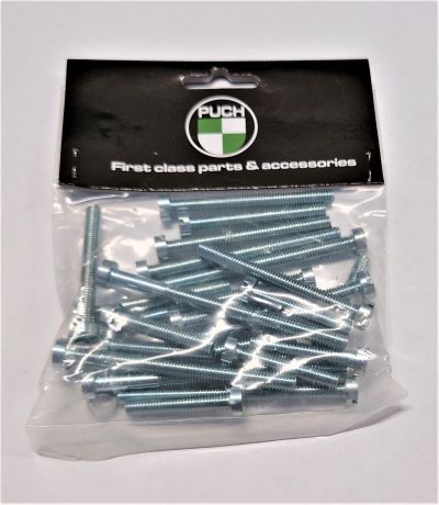 Skruvsats Puch, 1976-85. Passar ej Puch Maxi.
